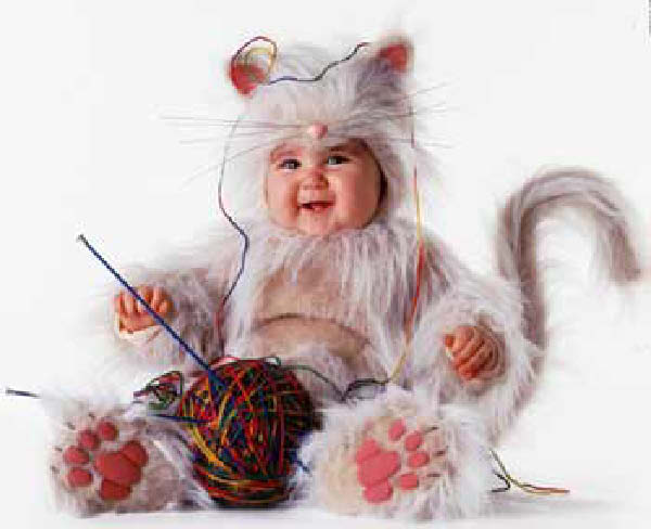 bebe chat 2-humourenvrac